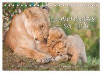 Emotionale Momente: Löwenbabys - so süß. (Tischkalender 2025 DIN A5 quer), CALVENDO Monatskalender