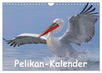 Pelikan-Kalender (Wandkalender 2025 DIN A4 quer), CALVENDO Monatskalender