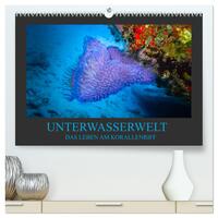 Unterwasserwelt - Das Leben am Korallenriff (hochwertiger Premium Wandkalender 2025 DIN A2 quer), Kunstdruck in Hochglanz