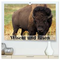 Wisent und Bison (hochwertiger Premium Wandkalender 2025 DIN A2 quer), Kunstdruck in Hochglanz