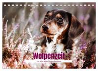 Welpenzeit - Ein Jahr voller spannender Pfotenabenteuer (Tischkalender 2025 DIN A5 quer), CALVENDO Monatskalender