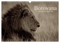 Botswana – Impressionen aus Afrika (Wandkalender 2025 DIN A3 quer), CALVENDO Monatskalender