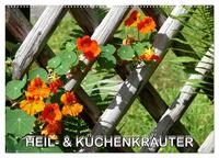 Heil- und Küchenkräuter (Wandkalender 2025 DIN A2 quer), CALVENDO Monatskalender