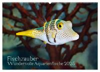 Fischzauber - Wundervolle Aquarienfische (Wandkalender 2025 DIN A2 quer), CALVENDO Monatskalender