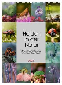 Helden in der Natur (Wandkalender 2025 DIN A2 hoch), CALVENDO Monatskalender