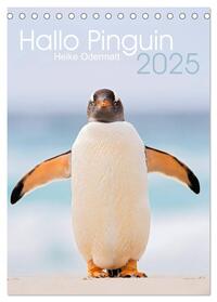 Hallo Pinguin (Tischkalender 2025 DIN A5 hoch), CALVENDO Monatskalender