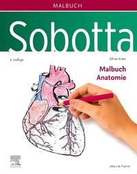 Sobotta Malbuch Anatomie