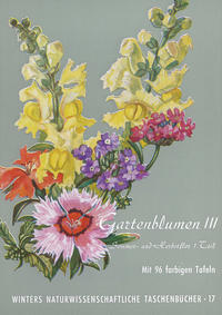 Gartenblumen / Sommerflor 1