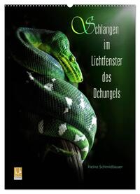 Schlangen im Lichtfenster des Dschungels (Wandkalender 2025 DIN A2 hoch), CALVENDO Monatskalender