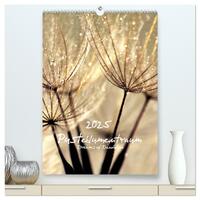 Pusteblumentraum - Dreams of Dandelion (hochwertiger Premium Wandkalender 2025 DIN A2 hoch), Kunstdruck in Hochglanz