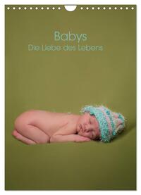 Babys - Die Liebe des Lebens (Wandkalender 2025 DIN A4 hoch), CALVENDO Monatskalender