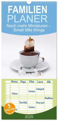Familienplaner 2025 - Noch mehr Miniaturen - Small little things mit 5 Spalten (Wandkalender, 21 x 45 cm) CALVENDO