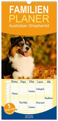 Familienplaner 2025 - Bekannt wie ein bunter Hund. Australian Shepherd mit 5 Spalten (Wandkalender, 21 x 45 cm) CALVENDO