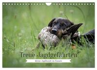 Treue Jagdgefährten - Kleine Jagdhunde im Einsatz (Wandkalender 2025 DIN A4 quer), CALVENDO Monatskalender