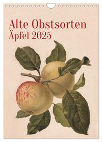 Alte Obstsorten - Äpfel 2025 (Wandkalender 2025 DIN A4 hoch), CALVENDO Monatskalender