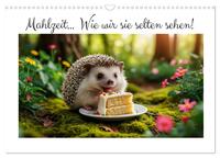 Mahlzeit... Wie wir Sie selten sehen! (Wandkalender 2025 DIN A3 quer), CALVENDO Monatskalender