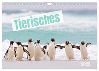 Tierisches von den Falklandinseln (Wandkalender 2025 DIN A4 quer), CALVENDO Monatskalender