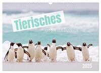 Tierisches von den Falklandinseln (Wandkalender 2025 DIN A3 quer), CALVENDO Monatskalender