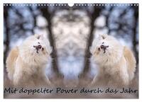 Mit doppelter Power durch das Jahr (Wandkalender 2026 DIN A3 quer), CALVENDO Monatskalender