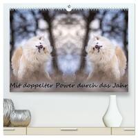 Mit doppelter Power durch das Jahr (hochwertiger Premium Wandkalender 2026 DIN A2 quer), Kunstdruck in Hochglanz