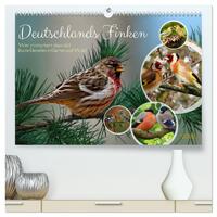 Deutschlands Finken (hochwertiger Premium Wandkalender 2026 DIN A2 quer), Kunstdruck in Hochglanz