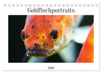 Goldfischportraits (Tischkalender 2026 DIN A5 quer), CALVENDO Monatskalender