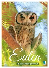 Eulen: In die Augen geschaut (Wandkalender 2026 DIN A3 hoch), CALVENDO Monatskalender