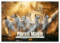 Pfoten Magie (Wandkalender 2026 DIN A2 quer), CALVENDO Monatskalender
