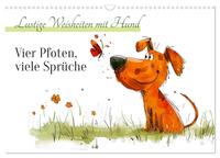 Vier Pfoten, viele Sprüche - Lustige Weisheiten mit Hund (Wandkalender 2026 DIN A3 quer), CALVENDO Monatskalender