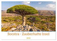 Socotra - Zauberhafte Insel (Wandkalender 2026 DIN A4 quer), CALVENDO Monatskalender