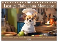 Lustige Chihuahua-Momente (Wandkalender 2026 DIN A4 quer), CALVENDO Monatskalender