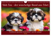 Shih Tzu - der wuschelige Hund aus Tibet (Wandkalender 2026 DIN A4 quer), CALVENDO Monatskalender