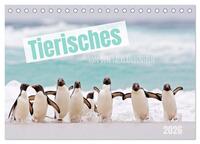 Tierisches von den Falklandinseln (Tischkalender 2026 DIN A5 quer), CALVENDO Monatskalender