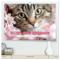 Katzen - sanfte Schönheiten (hochwertiger Premium Wandkalender 2026 DIN A2 quer), Kunstdruck in Hochglanz