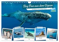 Big Five aus dem Ozean Hai, Delphin, Wal, Robbe, Pinguin (Wandkalender 2026 DIN A4 quer), CALVENDO Monatskalender