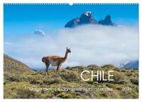 Magie dieses Südamerikanischen Landes, Chile (Wandkalender 2026 DIN A2 quer), CALVENDO Monatskalender