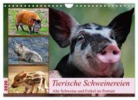 Tierische Schweinereien (Wandkalender 2026 DIN A4 quer), CALVENDO Monatskalender