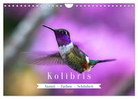 Kolibris; Anmut, Schönheit, Farben (Wandkalender 2026 DIN A4 quer), CALVENDO Monatskalender