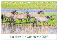 Ein Herz für Wildpferde (Wandkalender 2026 DIN A4 quer), CALVENDO Monatskalender