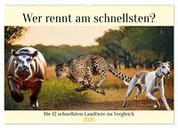 Wer rennt am schnellsten? (Wandkalender 2026 DIN A2 quer), CALVENDO Monatskalender