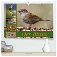 Der Birder (hochwertiger Premium Wandkalender 2026 DIN A2 quer), Kunstdruck in Hochglanz