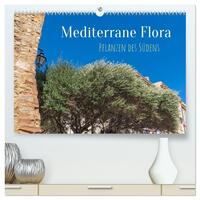 Mediterrane Flora - Pflanzen des Südens (hochwertiger Premium Wandkalender 2026 DIN A2 quer), Kunstdruck in Hochglanz