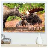 Auf den Spuren der Elche (hochwertiger Premium Wandkalender 2026 DIN A2 quer), Kunstdruck in Hochglanz