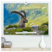 Bergkönige - Steinböcke im Blickpunkt der Naturforografie (hochwertiger Premium Wandkalender 2026 DIN A2 quer), Kunstdruck in Hochglanz