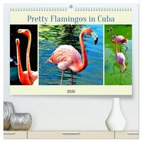 Pretty Flamingos in Cuba (hochwertiger Premium Wandkalender 2026 DIN A2 quer), Kunstdruck in Hochglanz