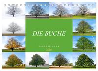 Die Buche: Jahresplaner 2026 (Tischkalender 2026 DIN A5 quer), CALVENDO Monatskalender
