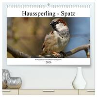 Haussperling - Spatz fotografiert von Ostfriesenfotografie (hochwertiger Premium Wandkalender 2026 DIN A2 quer), Kunstdruck in Hochglanz