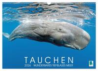 Tauchen: Wunderbares tiefblaues Meer (Wandkalender 2026 DIN A3 quer), CALVENDO Monatskalender