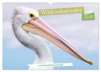 Wildtierkalender (Wandkalender 2026 DIN A3 quer), CALVENDO Monatskalender