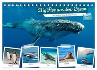 Big Five aus dem Ozean Hai, Delphin, Wal, Robbe, Pinguin (Tischkalender 2026 DIN A5 quer), CALVENDO Monatskalender